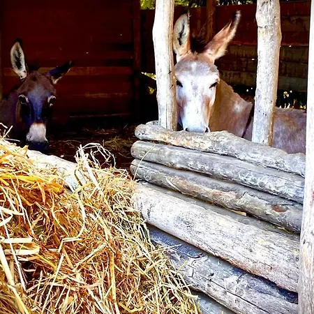 Bed & Breakfast Le Tre Stelle