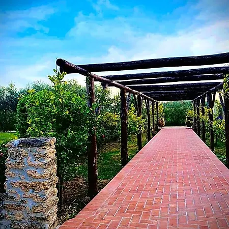 Le Tre Stelle Bed & Breakfast Paestum